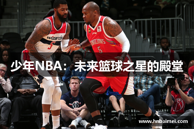 少年NBA：未来篮球之星的殿堂